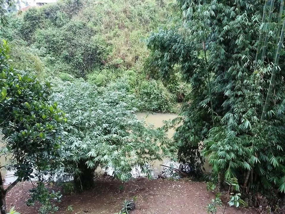 River Side Guest House Maskeliya